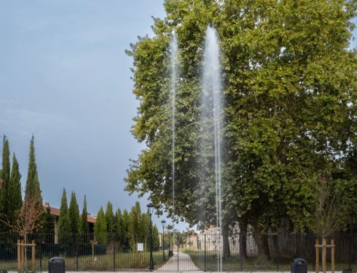 Il Tirreno-Parco Stampace: l’erba non ha attecchito bene; la ditta che ha vinto l’appalto rimedierà a sue spese